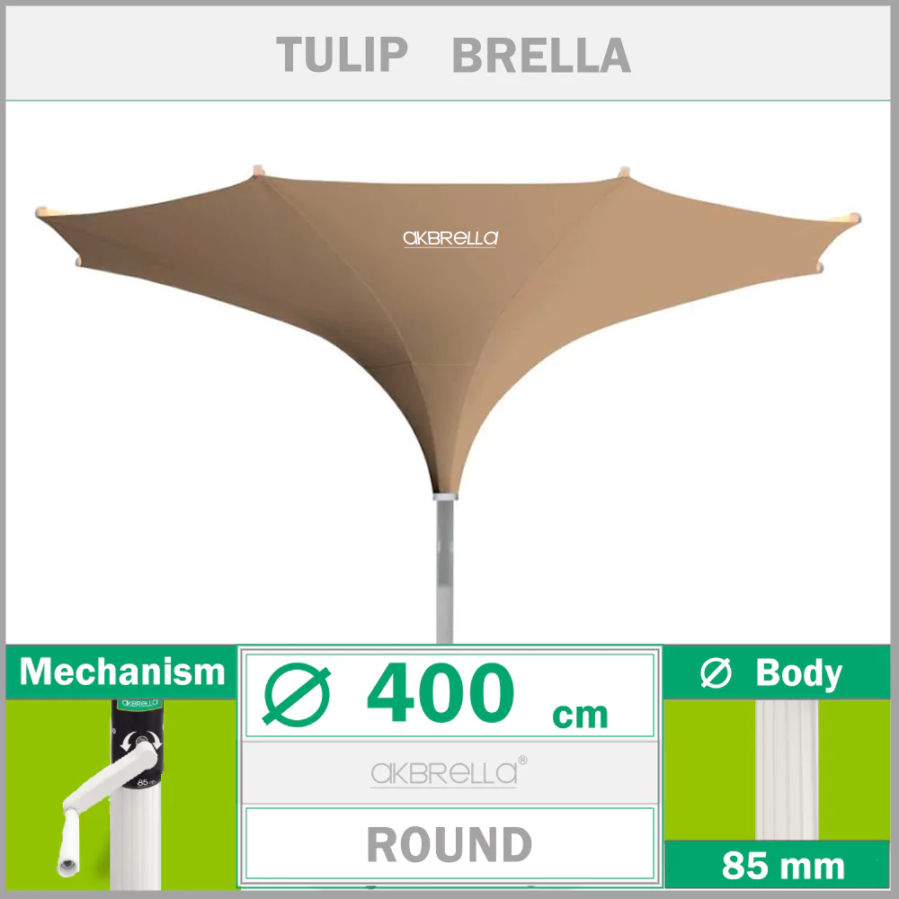 400 cm Tulip