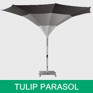 umbrelă de lalele
