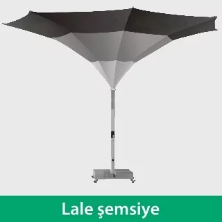 lale şemsiye